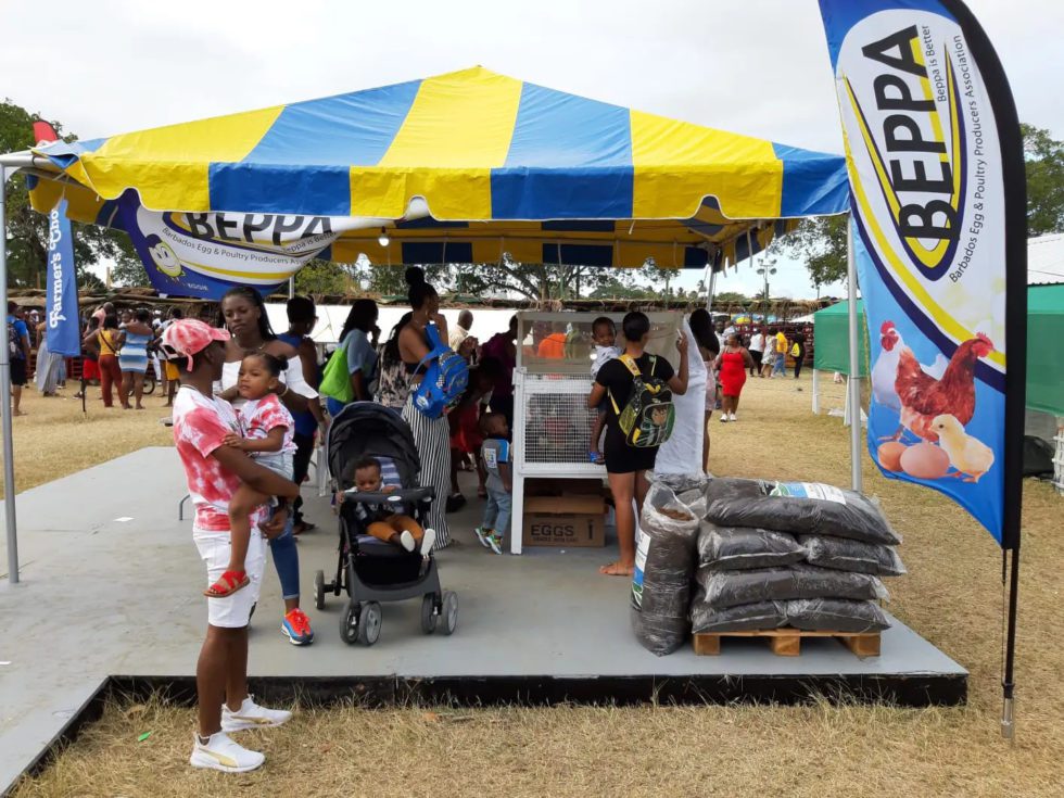 Exciting Exhibitions Barbados Agricultural Society Agrofest 2024   BEPPA 980x735 